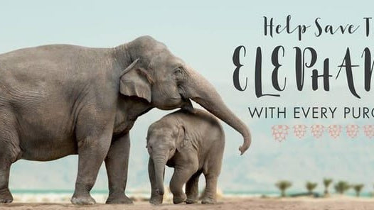 Ivory Ella Capitalises on the World’s Fascination With Elephants - Spoiled Brat