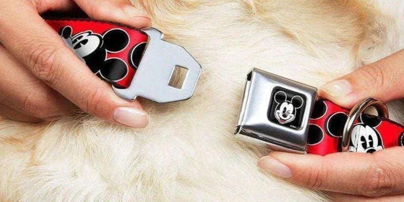 Pet Accessories - Spoiled Brat