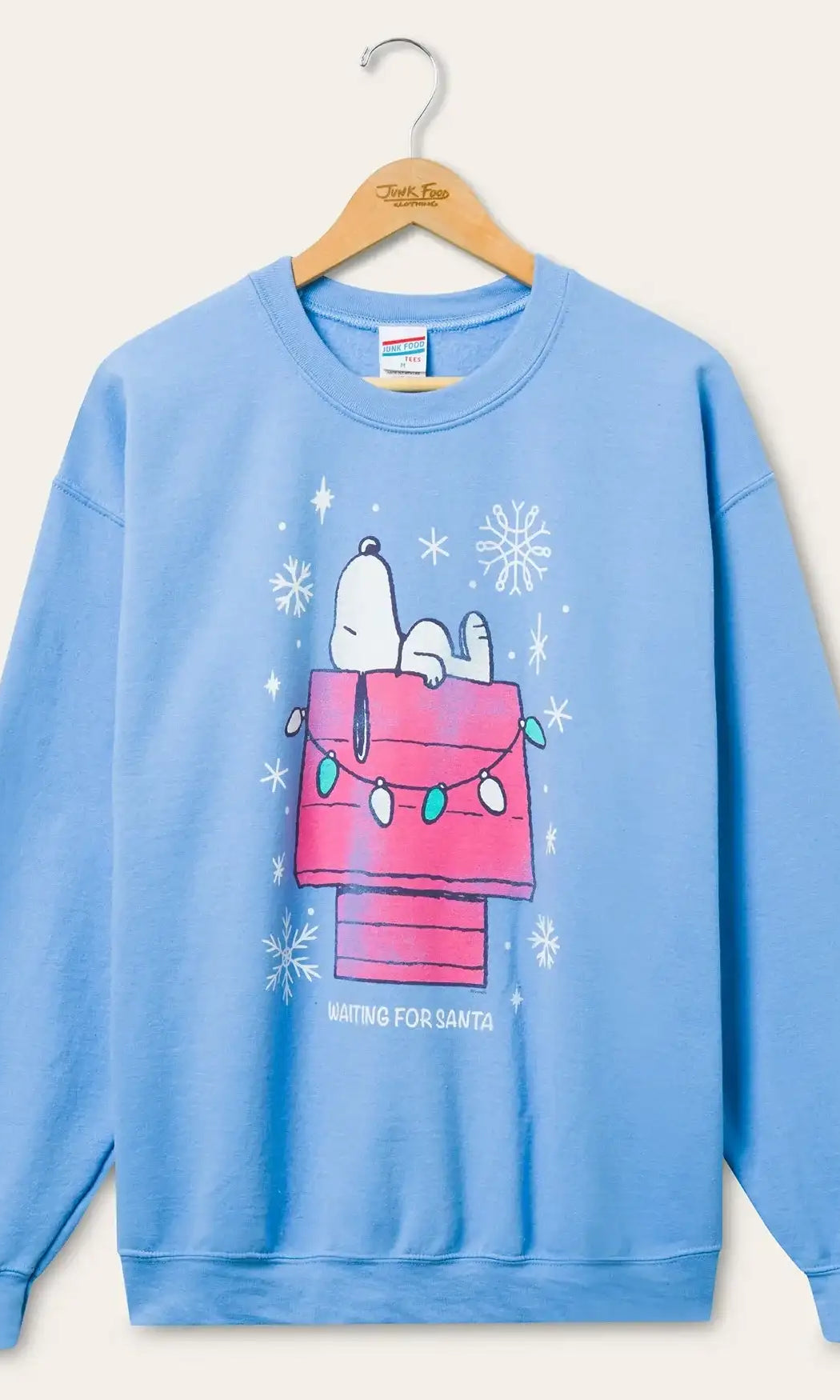 JUNKFOOD Snoopy Waiting for Santa Christmas Jumper