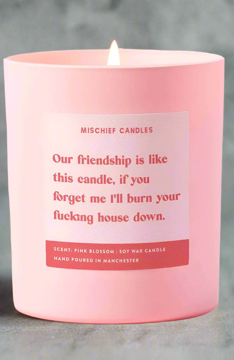 Best Friend Funny Burn House Down Gift For Her Funny Candle Candles by Mischief Candles as seen on celebrities