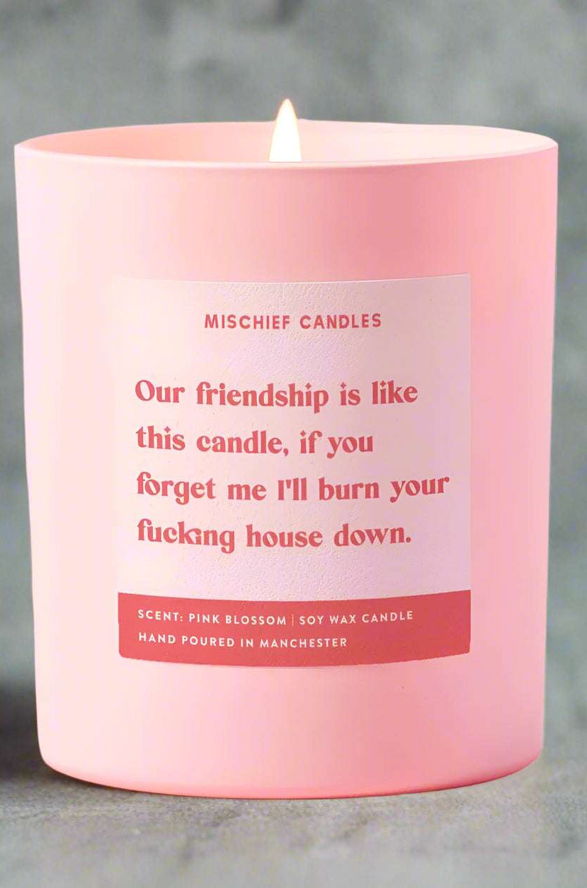 Best Friend Funny Burn House Down Gift For Her Funny Candle Candles by Mischief Candles as seen on celebrities