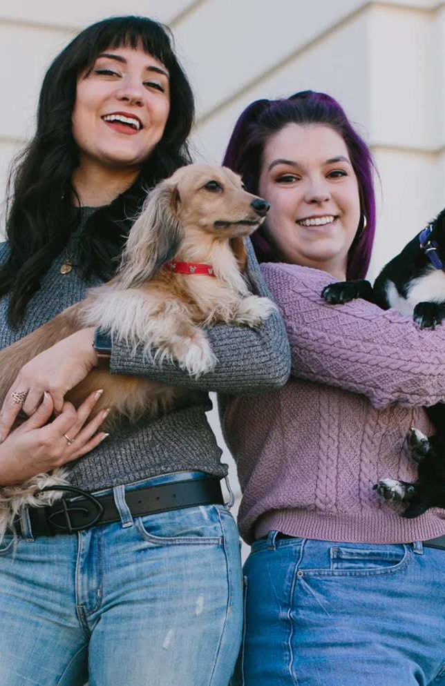 Buckle Down Products Disney Mickey Mouse Vegan Leather Dog Collar Dog Collar by Buckle Down Products as seen on celebrities