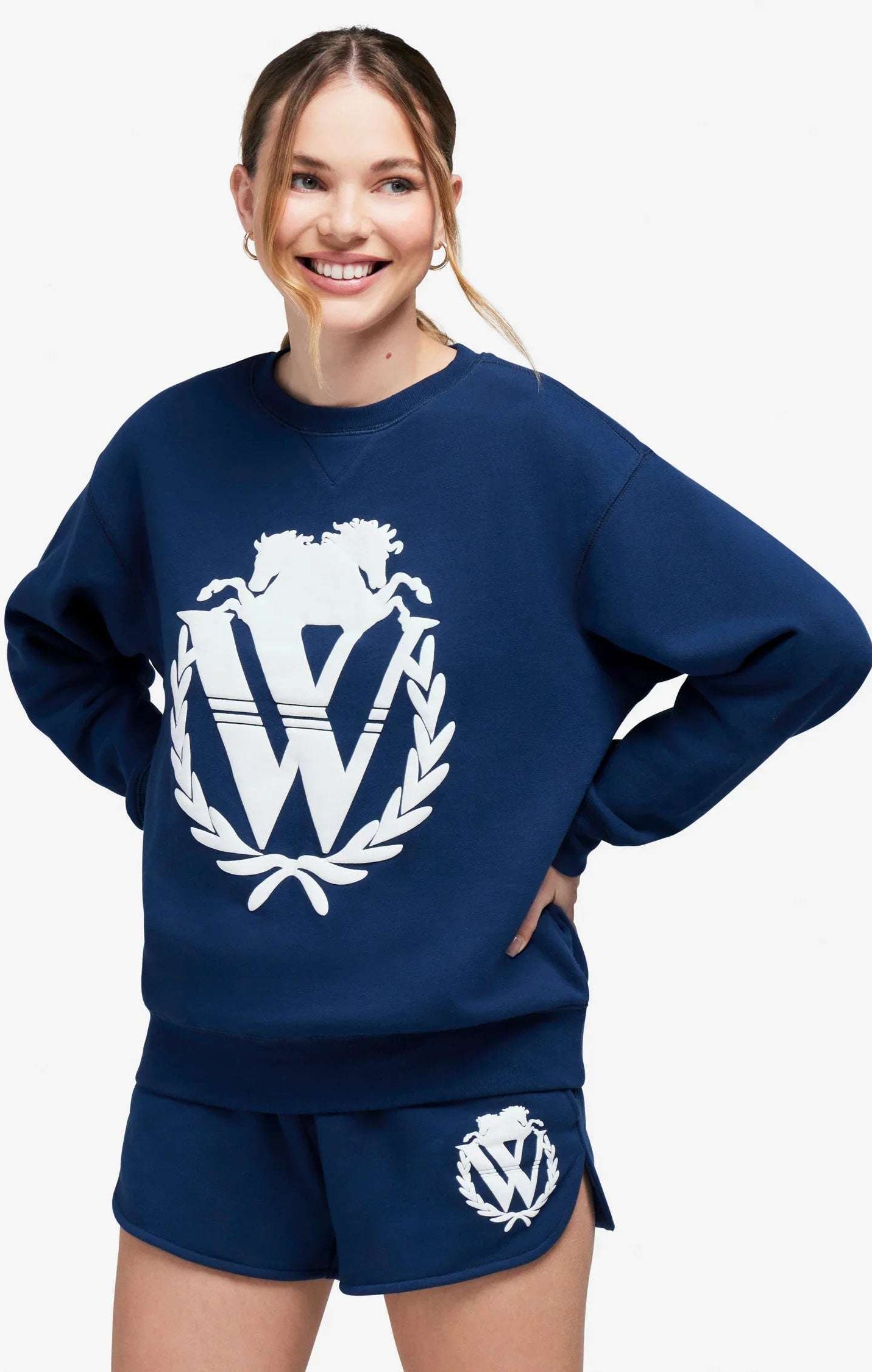 Wildfox 90s Crest Cody Sweatshirt Jumper by Wildfox as seen on celebrities