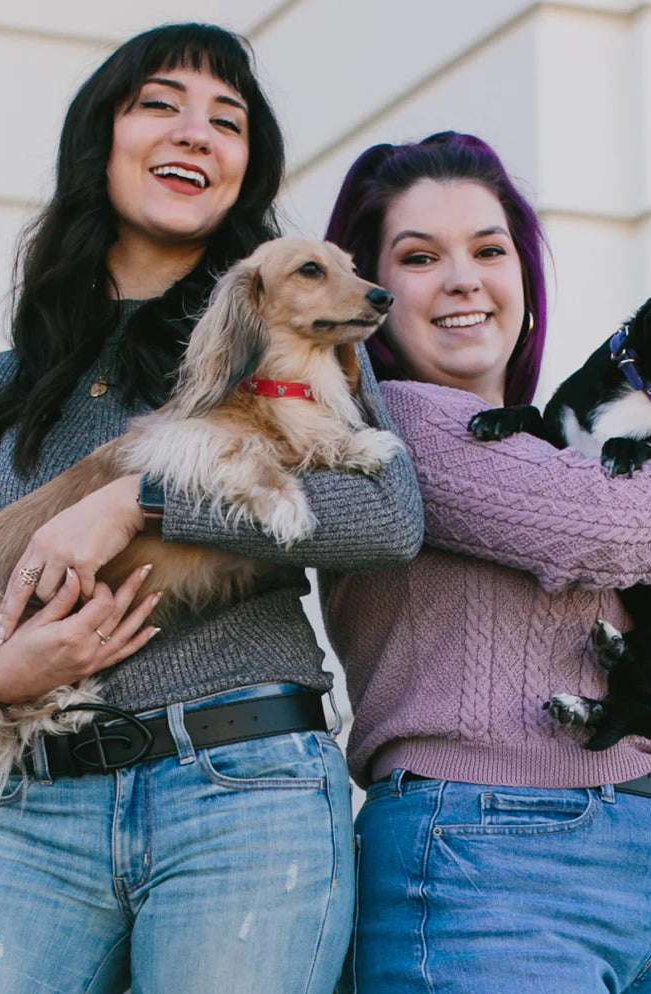 Shop Buckle Down Products Buckle Down Products Disney Mickey Mouse Vegan Leather Dog Collar Dog Collar for women – premium loungewear and festival fashion at Spoiled Brat