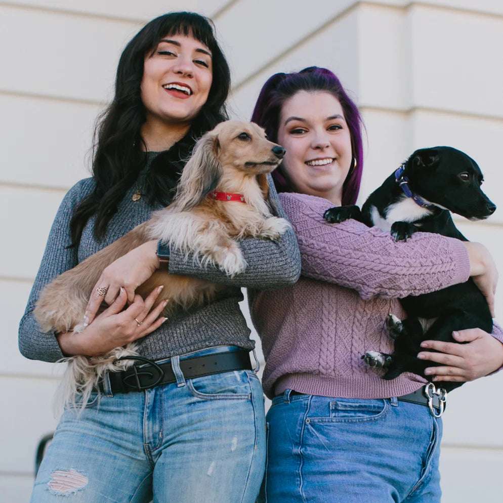 Buckle Down Products Disney Mickey Mouse Vegan Leather Dog Collar by Buckle Down Products – Dog Collar – XS (6-9" Neck) | Spoiled Brat UK