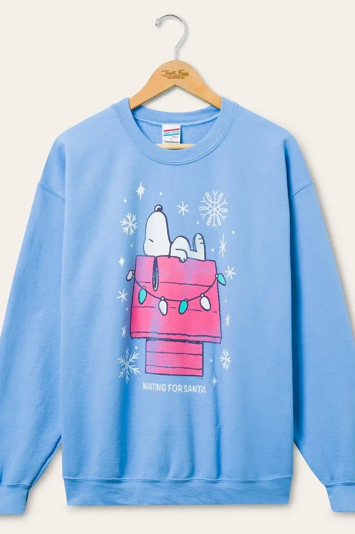 JUNKFOOD Snoopy Waiting for Santa Christmas Jumper - Spoiled Brat