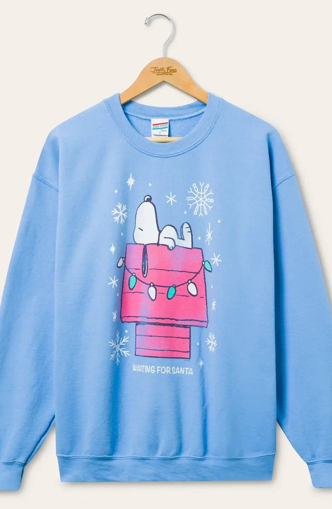 JUNKFOOD Snoopy Waiting for Santa Christmas Jumper by Junk Food – Jumper – S | Spoiled Brat UK