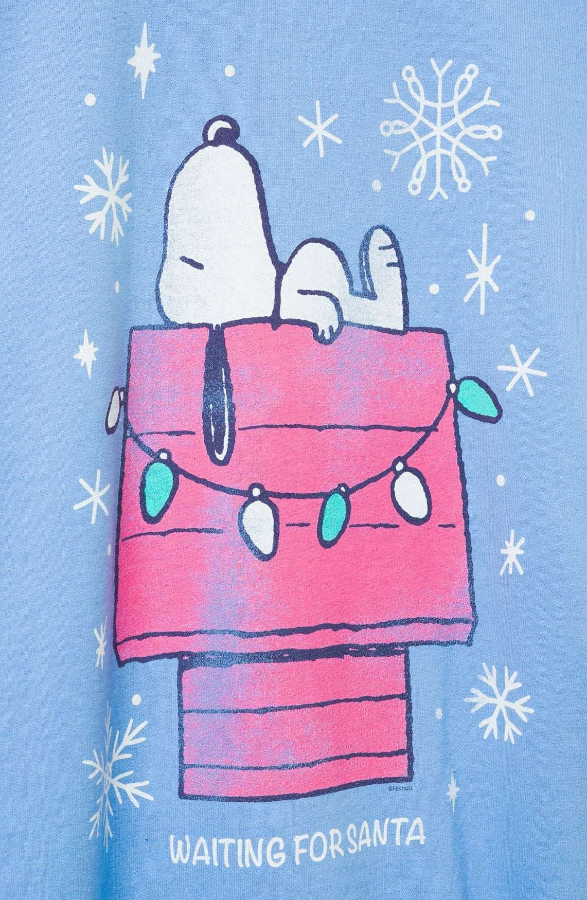 JUNKFOOD Snoopy Waiting for Santa Christmas Jumper by Junk Food – Jumper – S | Spoiled Brat UK