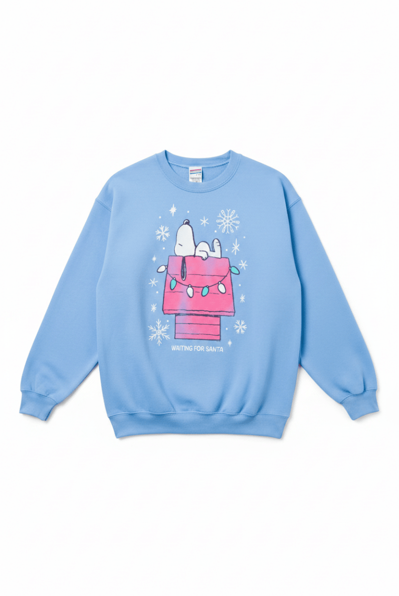 Shop Junk Food JUNKFOOD Snoopy Waiting for Santa Christmas Jumper Jumper for women – premium loungewear and festival fashion at Spoiled Brat