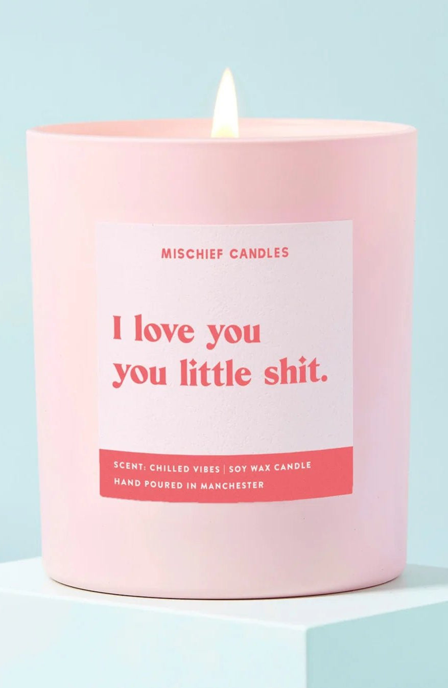 Shop Mischief Candles Girlfriend Boyfriend Gift Love You Little Shit Funny Candle Candles for women – premium loungewear and festival fashion at Spoiled Brat