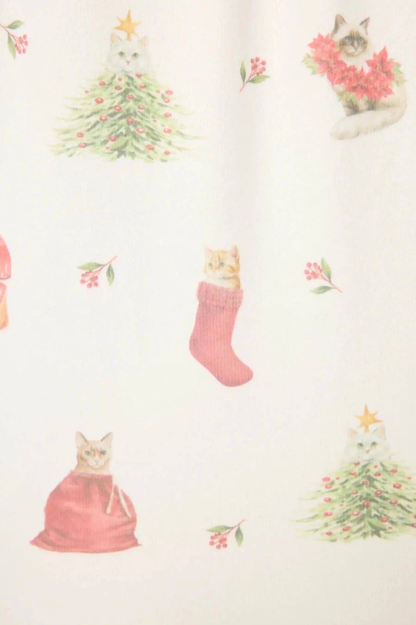 PJ Salvage Feline Festive Cat Print Christmas PJ Set - Spoiled Brat
