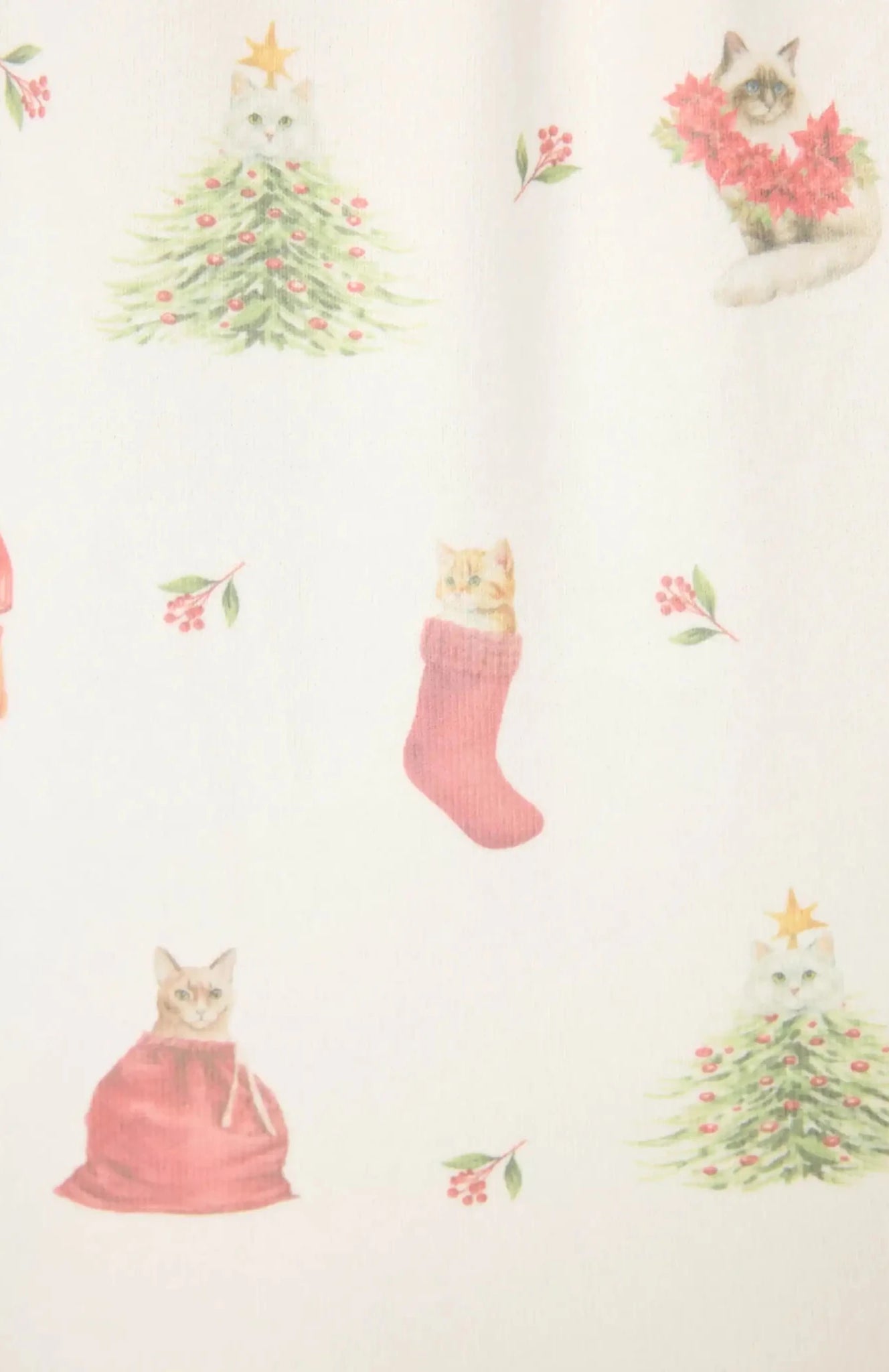 Shop PJ Salvage PJ Salvage Feline Festive Cat Print Christmas PJ Set Pyjamas for women – premium loungewear and festival fashion at Spoiled Brat