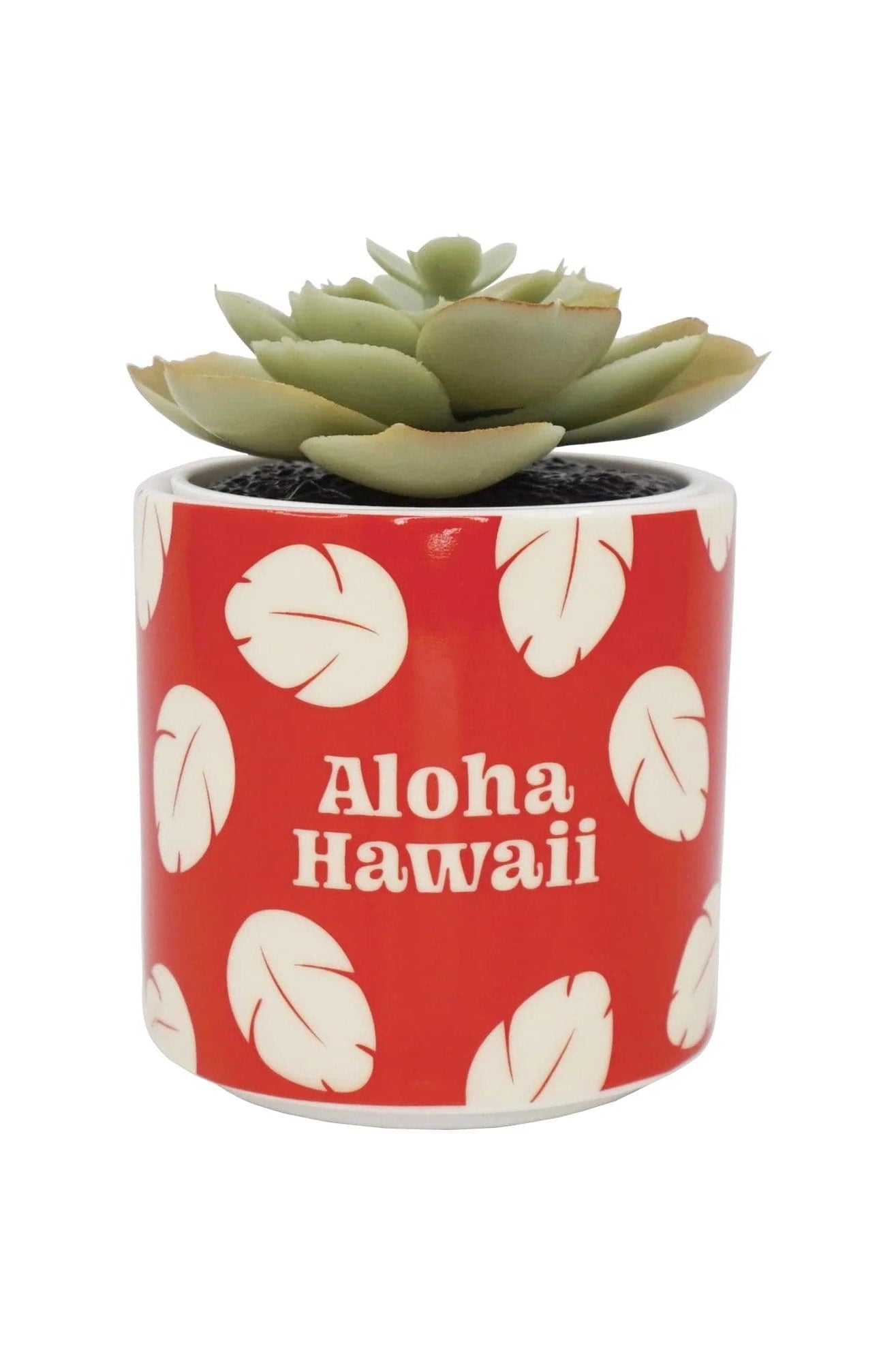 Disney Lilo & Stitch Faux Plant Pot Planter by Half Moon Bay as seen on celebrities