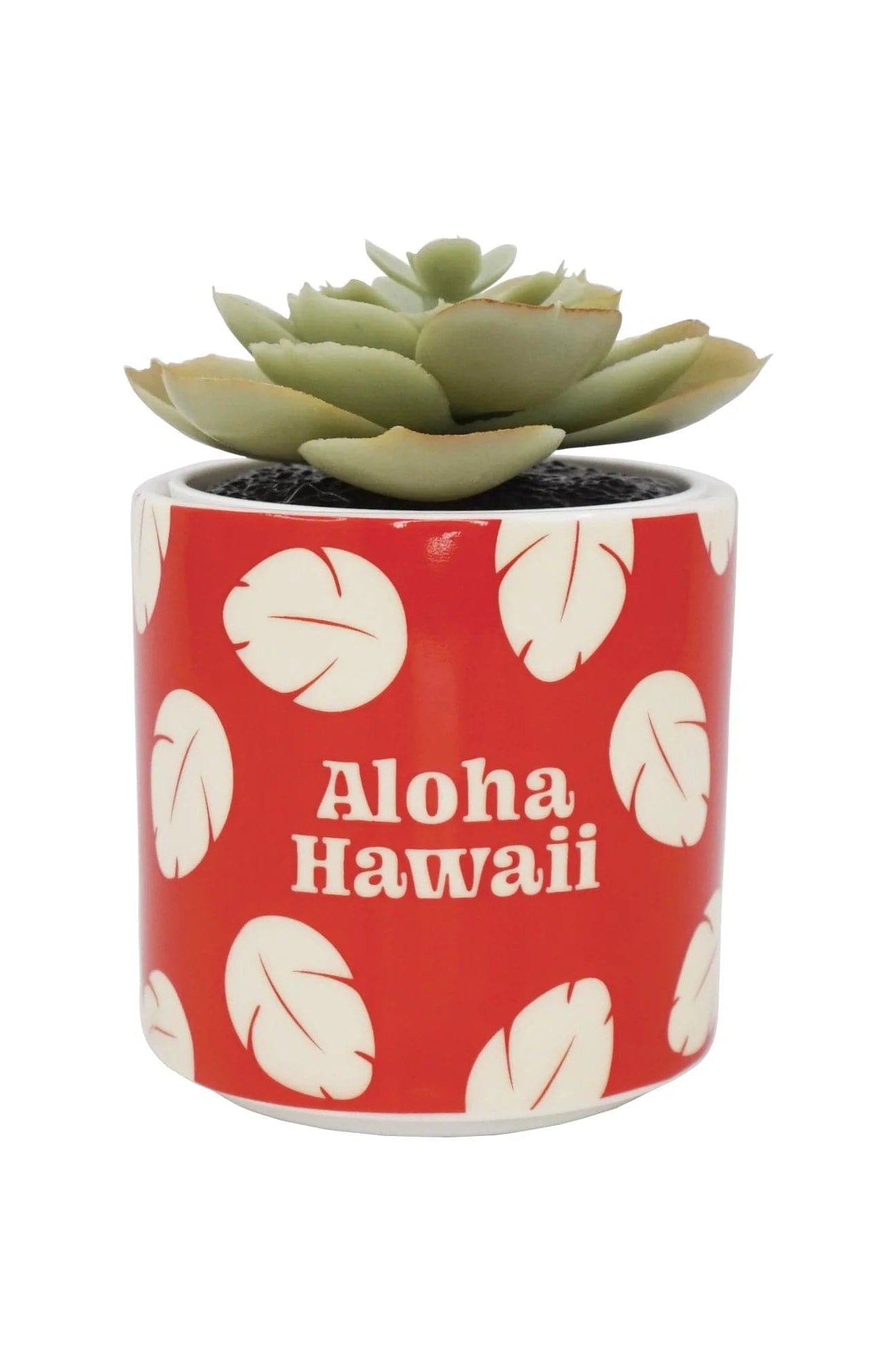 Disney Lilo & Stitch Faux Plant Pot Planter by Half Moon Bay as seen on celebrities