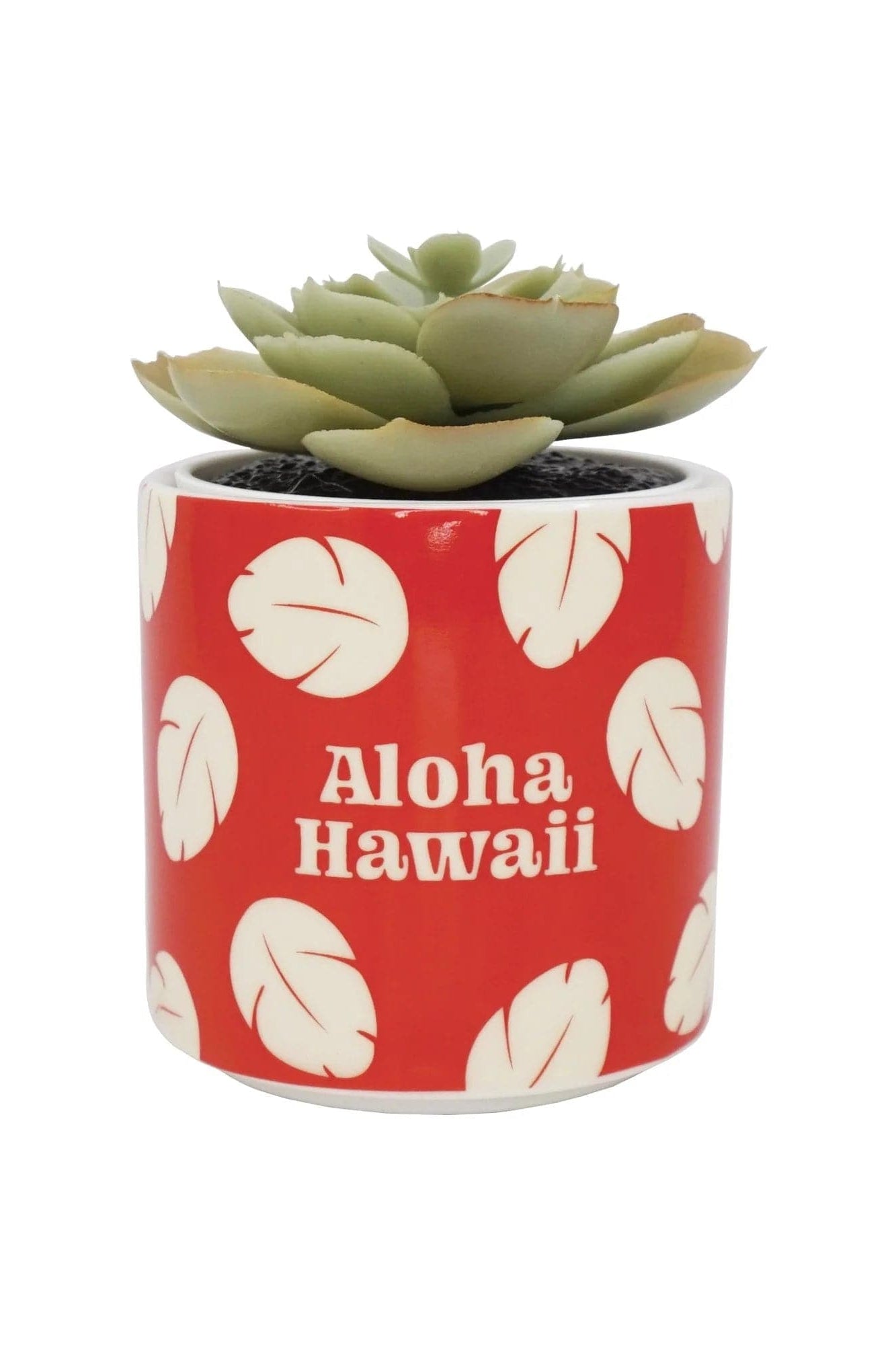 Disney Lilo & Stitch Faux Plant Pot by Half Moon Bay – Planter – Red | Spoiled Brat UK