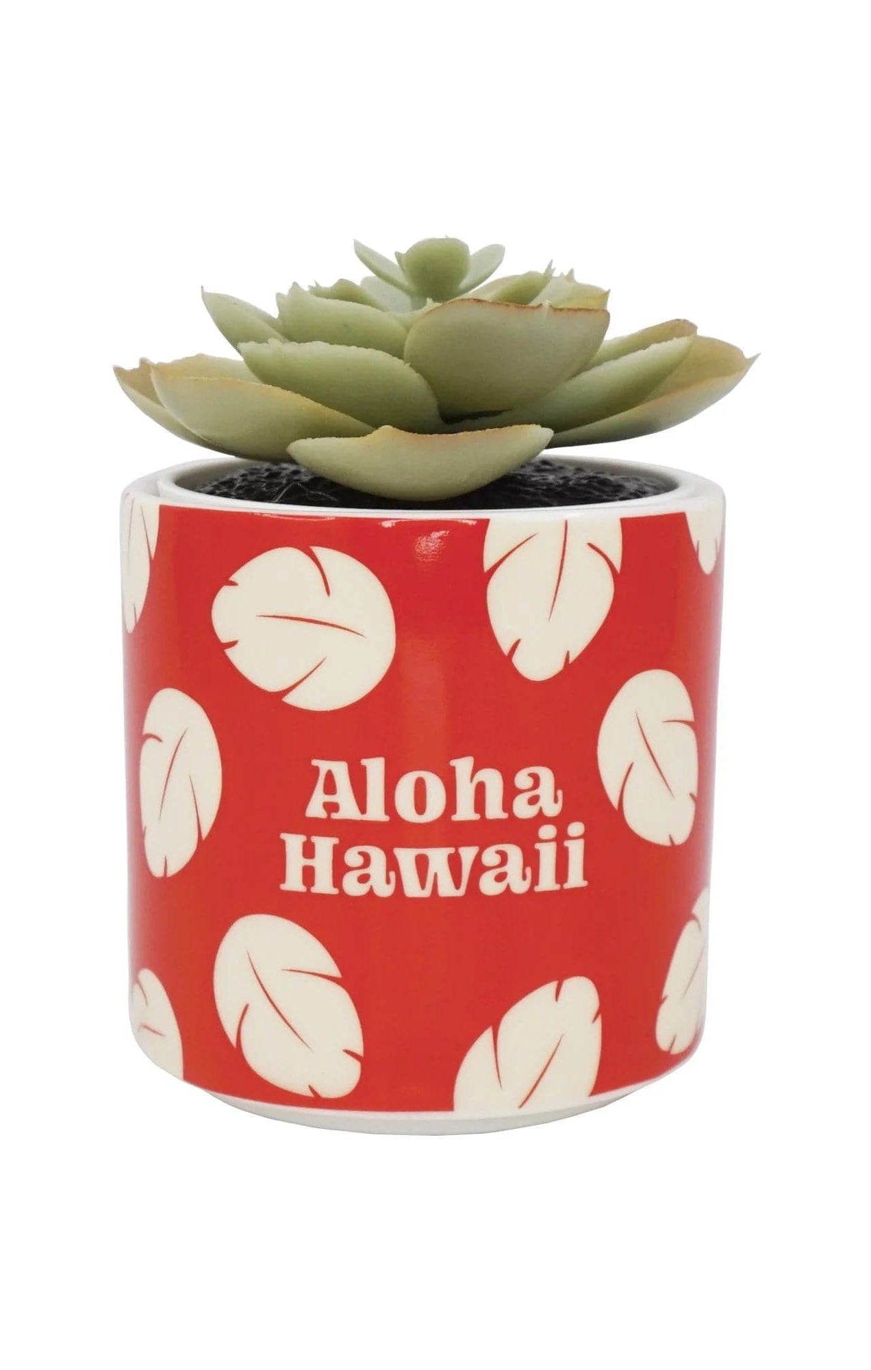 Shop Half Moon Bay Disney Lilo & Stitch Faux Plant Pot Planter for women – premium loungewear and festival fashion at Spoiled Brat