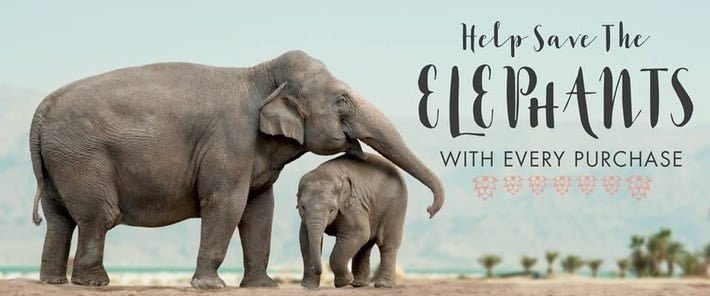 Ivory Ella Capitalises on the World’s Fascination With Elephants - Spoiled Brat 
