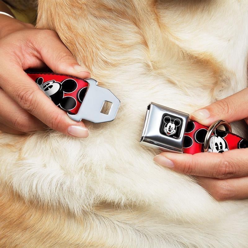 Dog Collars - Spoiled Brat 