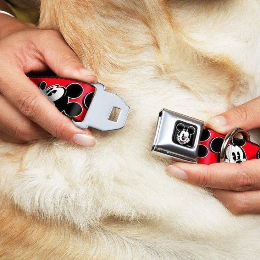 Pet Accessories UK | Stylish Dog & Cat Accessories | Spoiled Brat