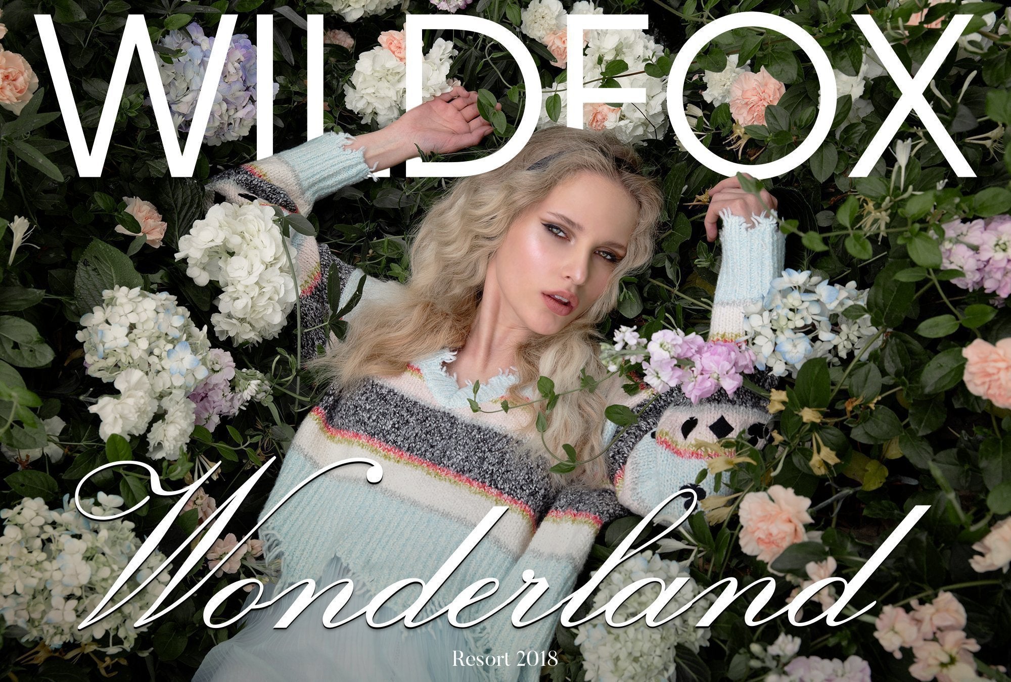 shop Wildfox Wonderland online