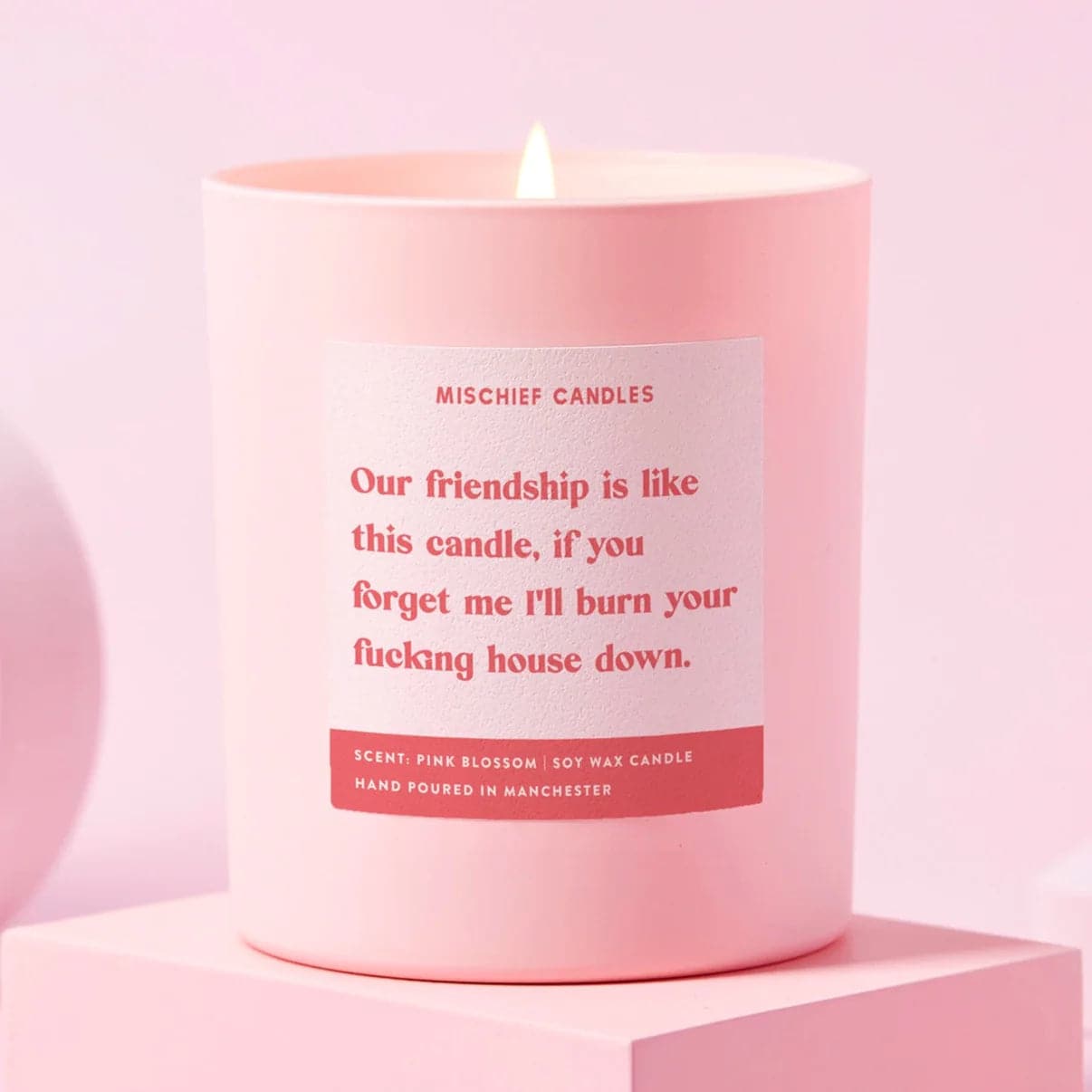 Shop Mischief Candles Best Friend Funny Burn House Down Gift For Her Funny Candle online at Spoiled Brat