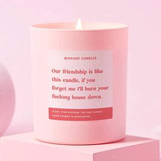 Shop Best Friend Funny Burn House Down Gift For Her Funny Candle - Spoiled Brat  Online