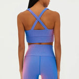 Shop Beach Riot Beach Riot Mindy Gym Top in Imperial Two Tone Rib Crop Top for women – premium loungewear and festival fashion at Spoiled Brat