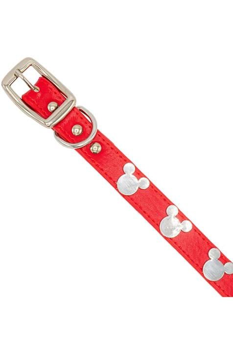Shop Buckle Down Products Buckle Down Products Disney Mickey Mouse Vegan Leather Dog Collar Dog Collar for women – premium loungewear and festival fashion at Spoiled Brat