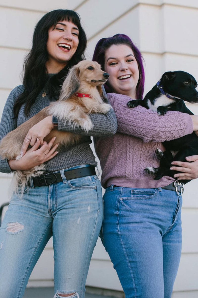 Shop Buckle Down Products Buckle Down Products Disney Mickey Mouse Vegan Leather Dog Collar Dog Collar for women – premium loungewear and festival fashion at Spoiled Brat