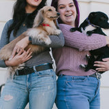 Shop Buckle Down Products Buckle Down Products Disney Mickey Mouse Vegan Leather Dog Collar Dog Collar for women – premium loungewear and festival fashion at Spoiled Brat