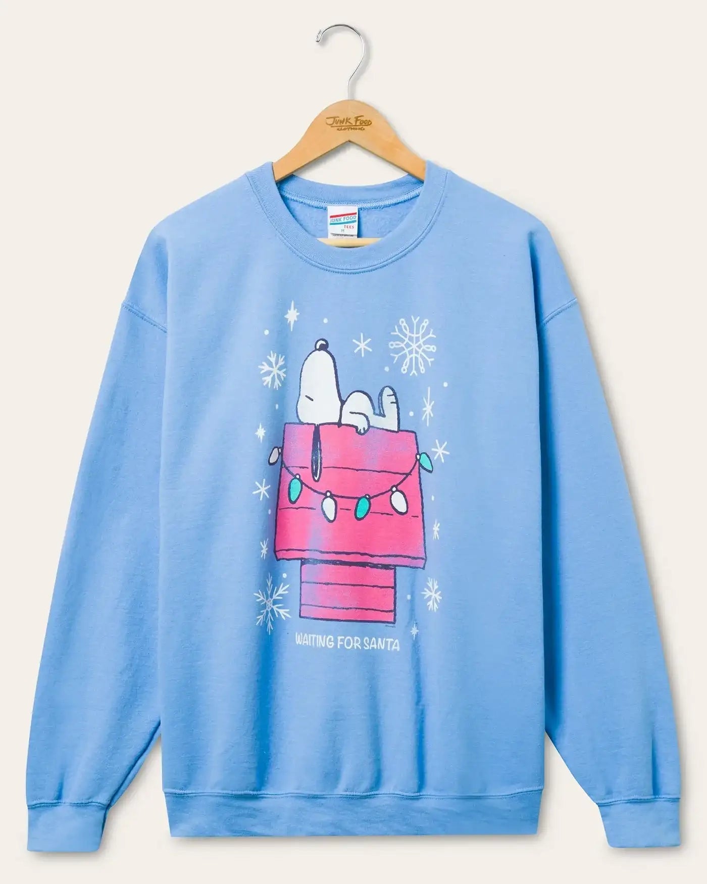 Shop Junk Food JUNKFOOD Snoopy Waiting for Santa Christmas Jumper Jumper for women – premium loungewear and festival fashion at Spoiled Brat