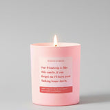 Shop Mischief Candles Best Friend Funny Burn House Down Gift For Her Funny Candle Candles for women – premium loungewear and festival fashion at Spoiled Brat