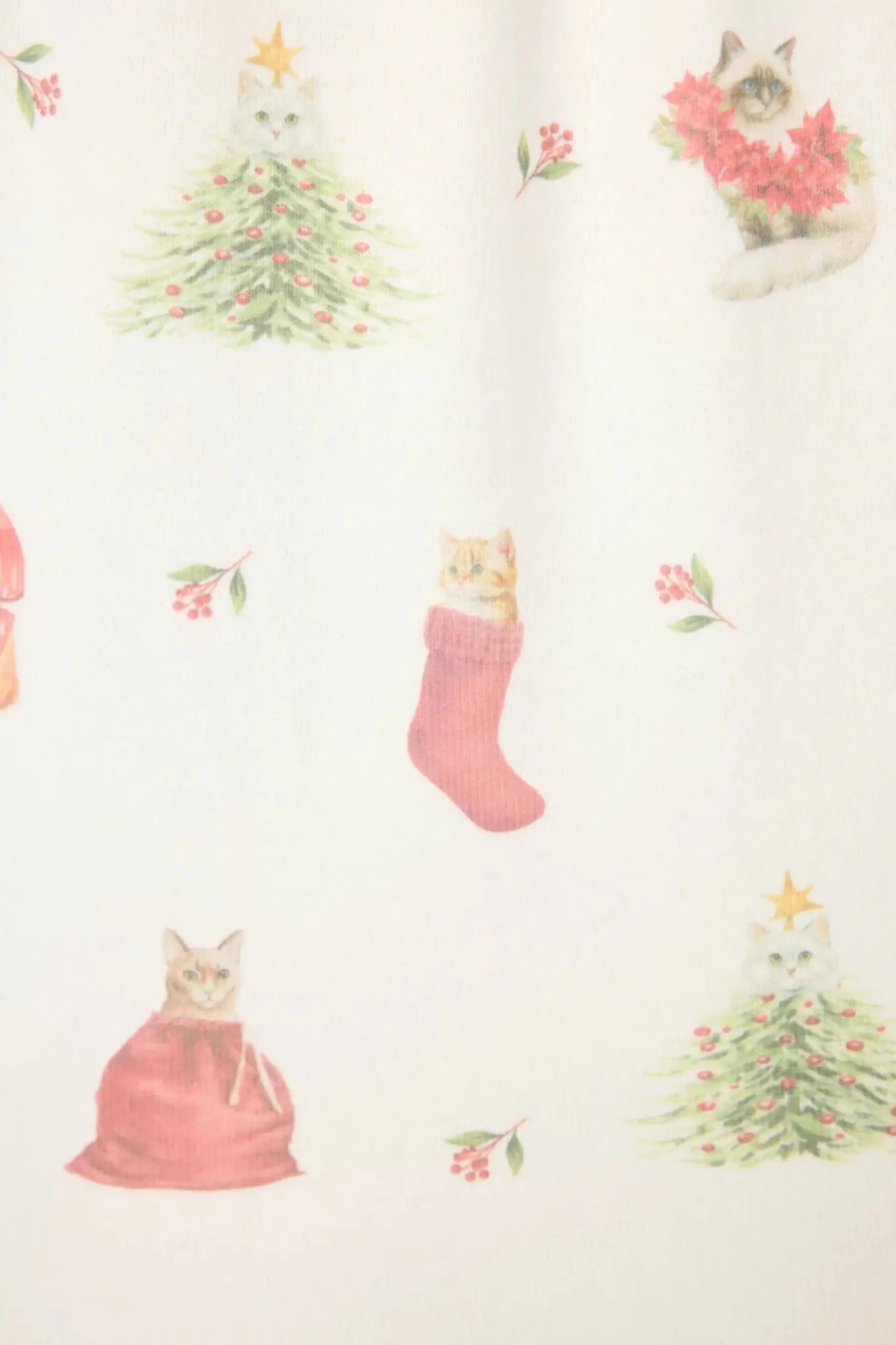 PJ Salvage Feline Festive Cat Print Christmas PJ Set - Spoiled Brat