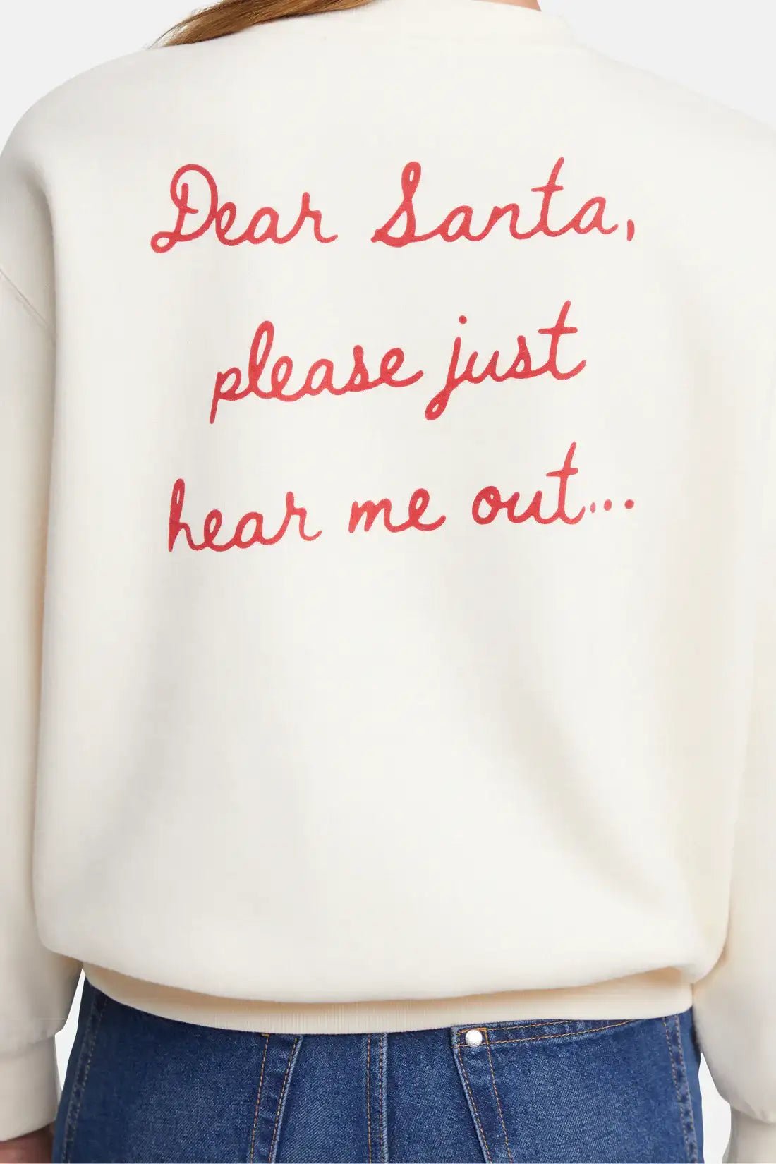 Wildfox Christmas Naughty Or Nice Charlie Sweatshirt - Spoiled Brat