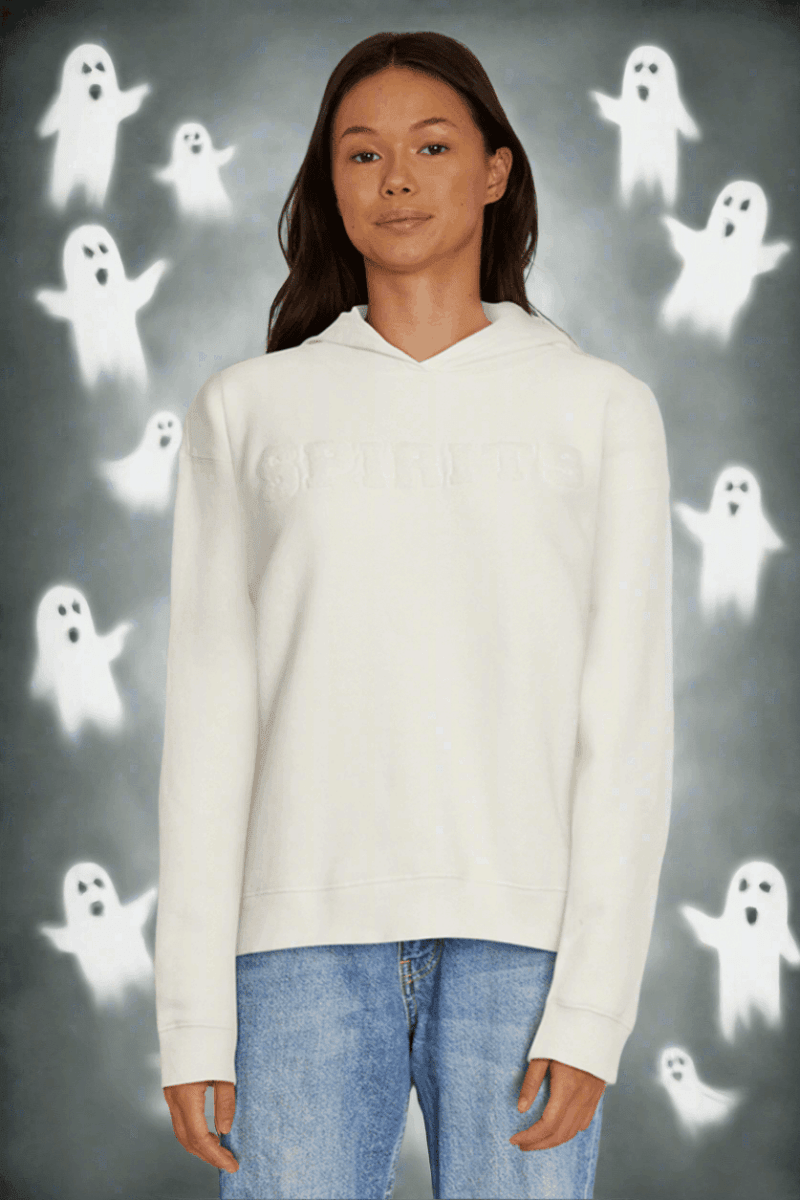 Shop Wildfox Wildfox Halloween Spirits Blake Hooded Sweatshirt Sweater for women – premium loungewear and festival fashion at Spoiled Brat