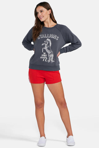 Shop Wildfox Stallion Of 77 Sommers Sweatshirt - Premium Jumper from Wildfox Online now at Spoiled Brat 